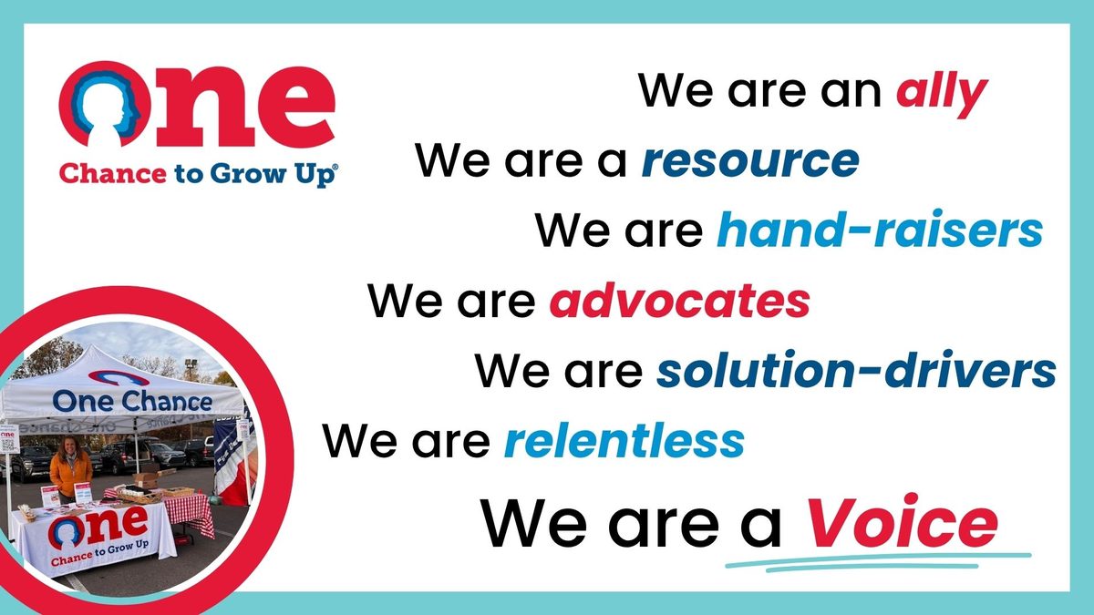 Presentation slide: we are an ally, a resource, hand-raisers, advocates, solution-drivers, relentless — we are a Voice