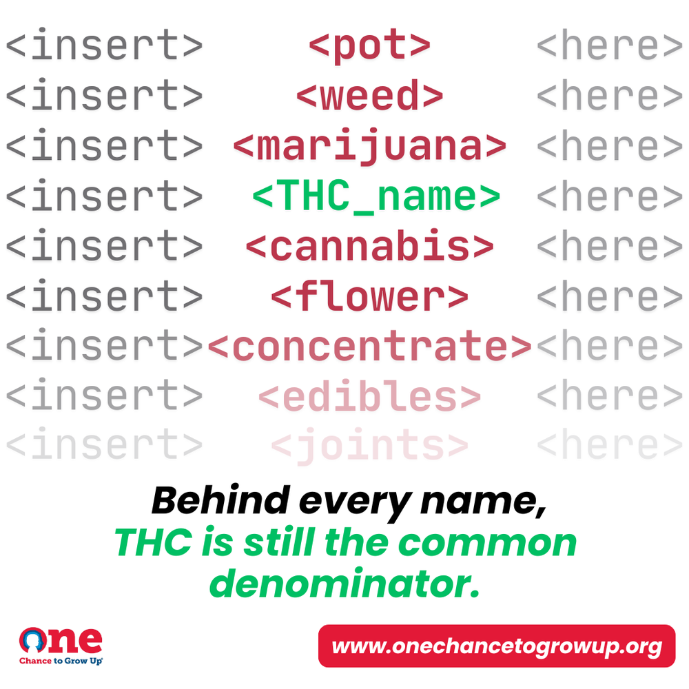 Graphic listing slang names for THC in code-style brackets: behind every name, THC is still the common denominator