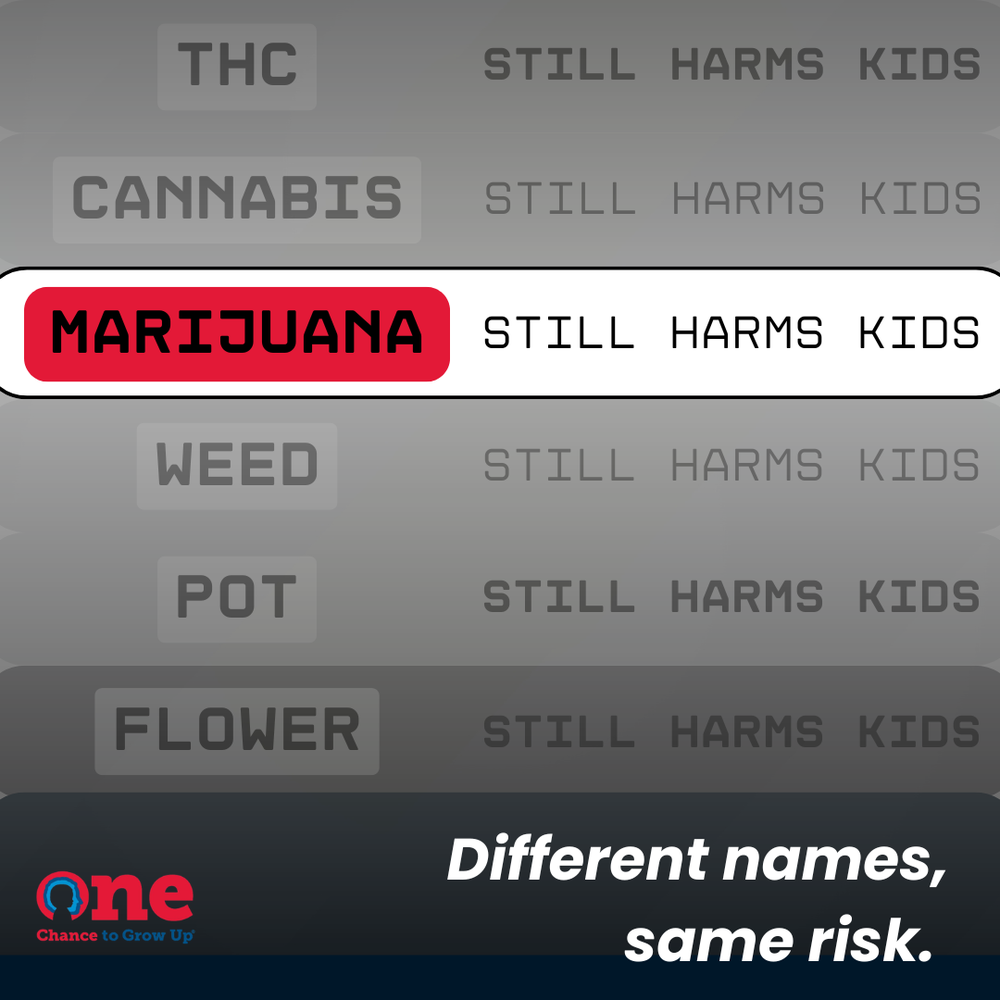 Stacked labels reading THC, cannabis, marijuana, weed, pot, flower — each followed by 'still harms kids'