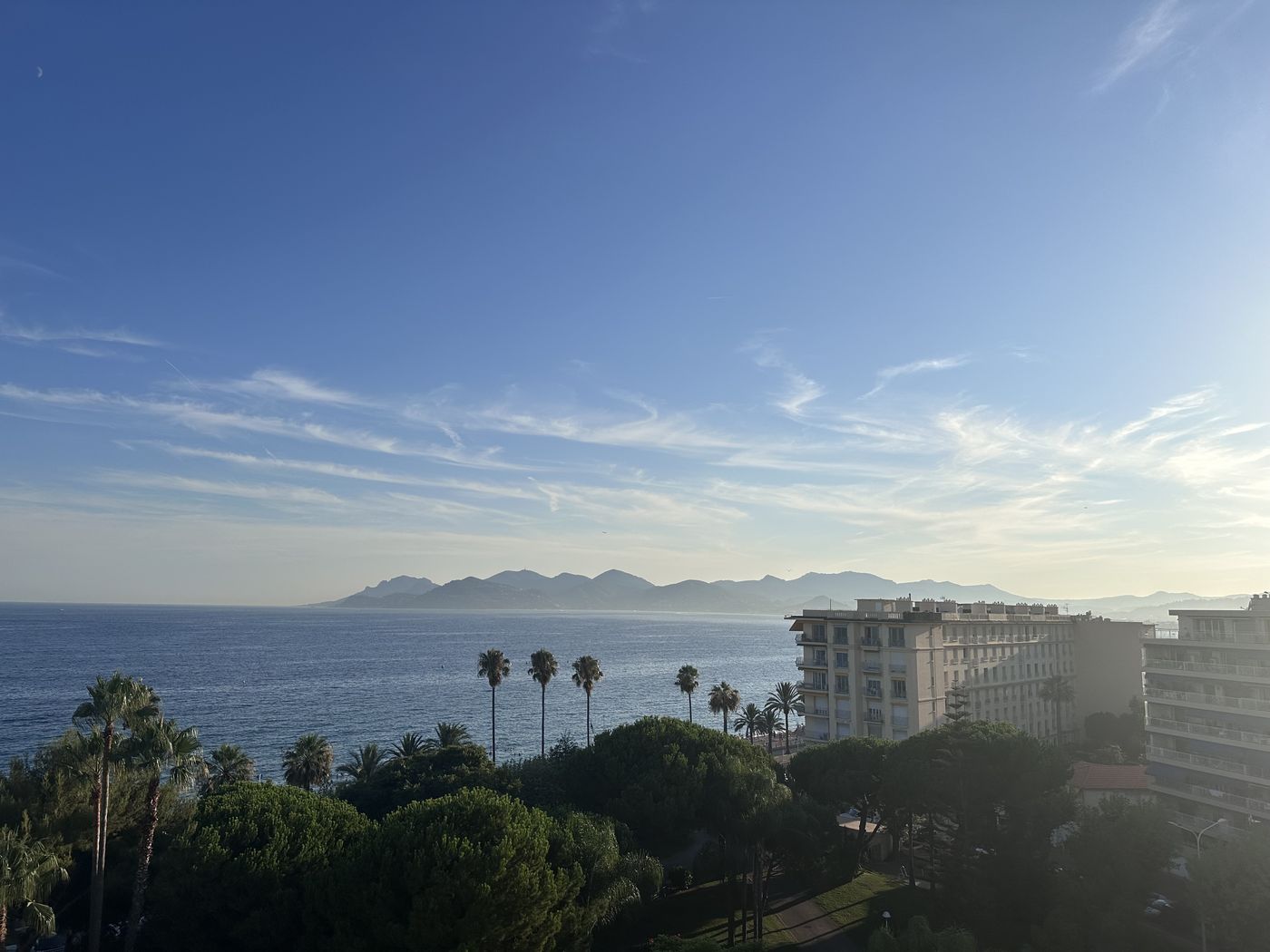 Palms and blue sea from a hillside above Cannes