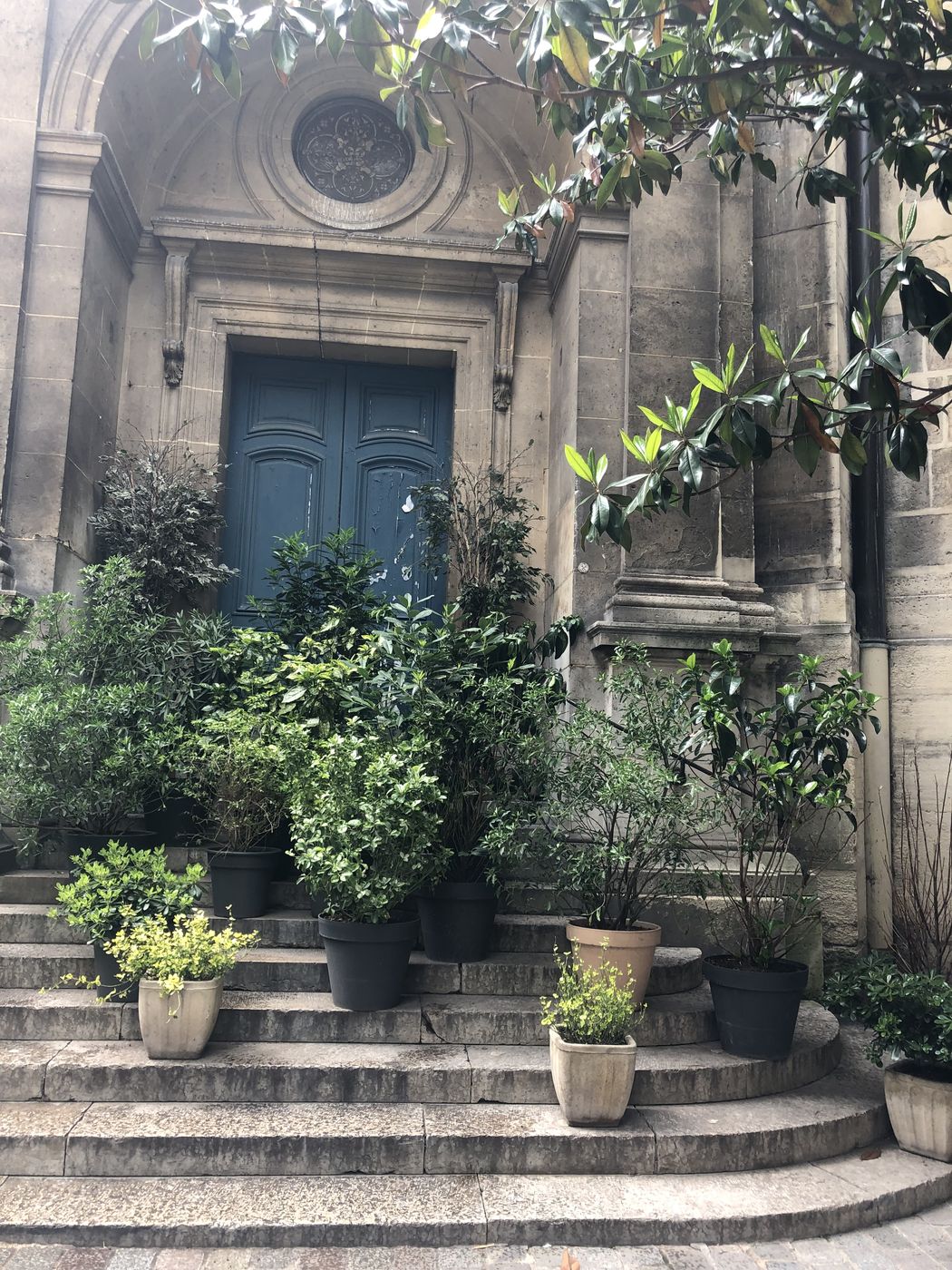 Parisian doorway with blue door, stone steps, and potted plants