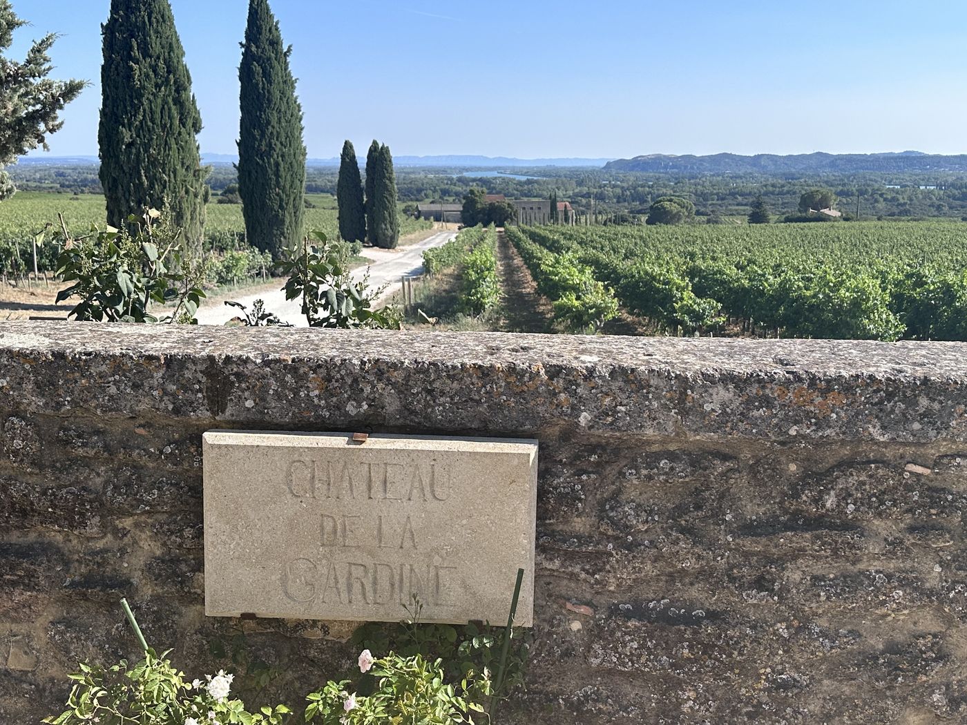 Stone wall, cypress trees, and vineyard rows in Provence