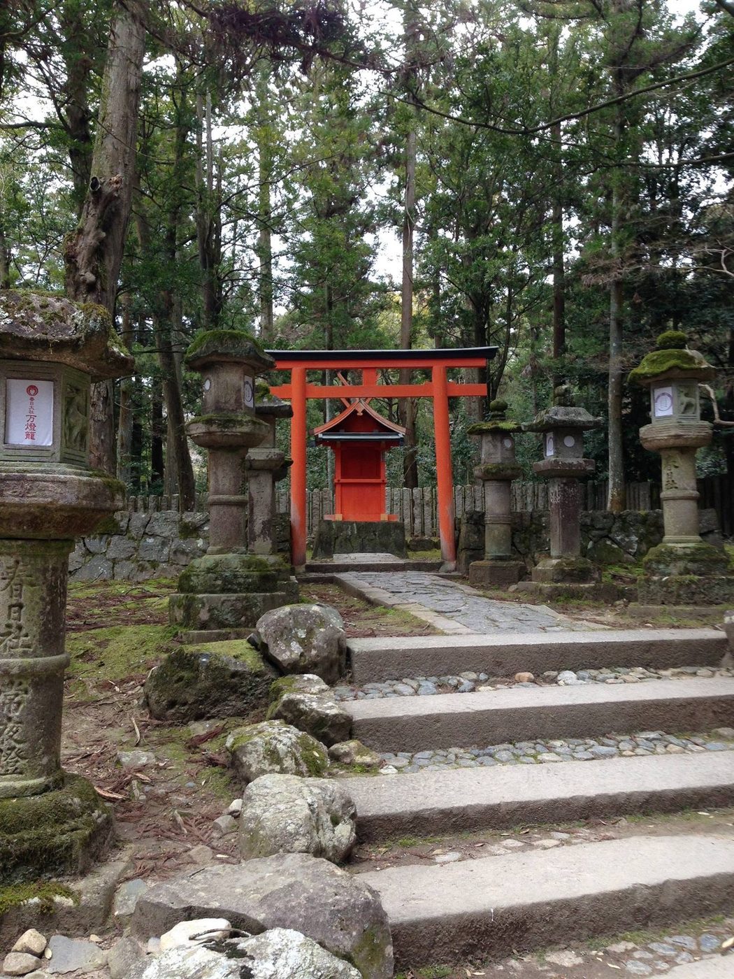 Vermilion torii gate and stone lanterns among trees in Nara