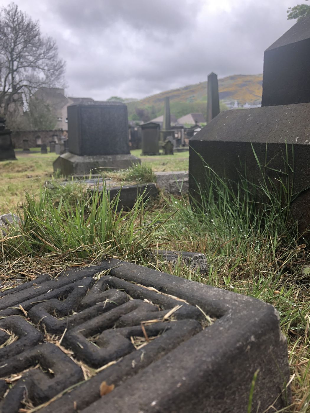Weathered gravestones and grass in an Edinburgh cemetery