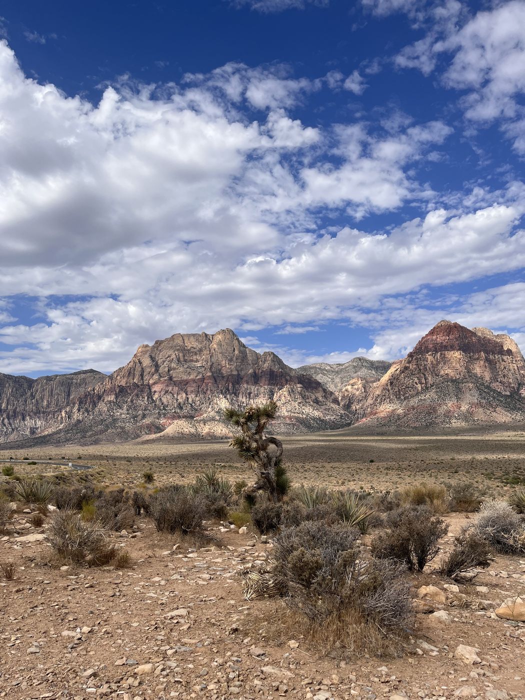 Red rock mountains and desert scrub under dramatic clouds