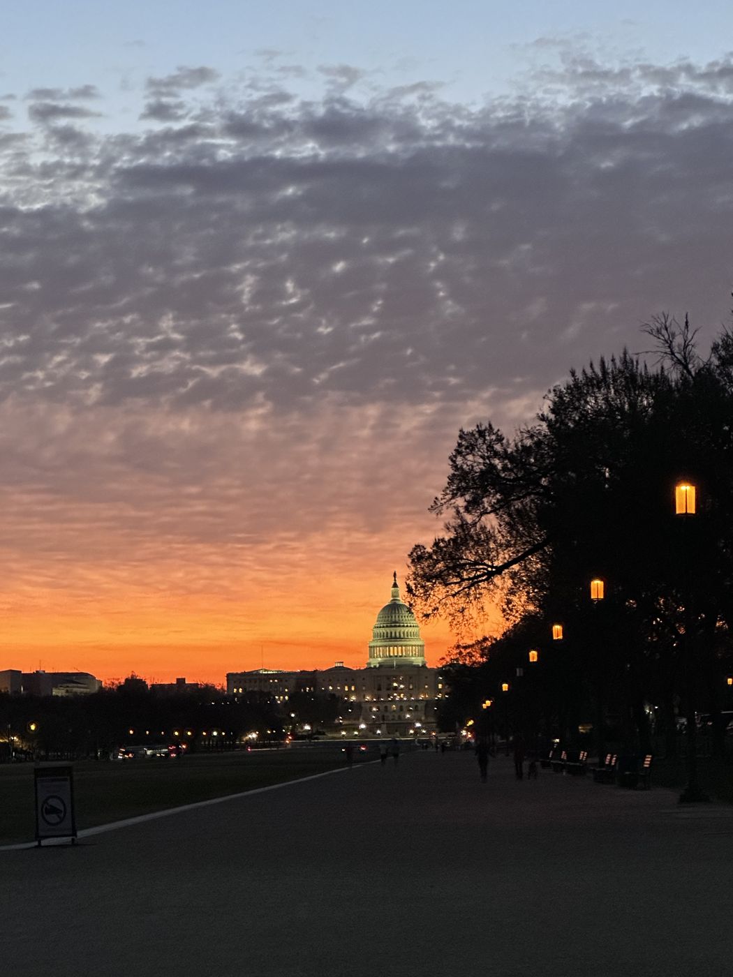 The U.S. Capitol at dawn down a tree-lined mall, lamps glowing