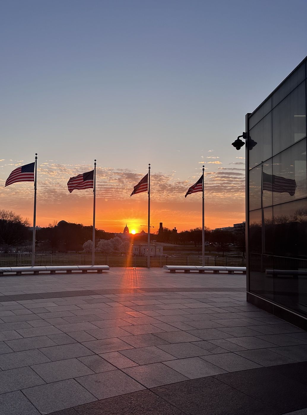 American flags circling the Washington Monument plaza at sunrise